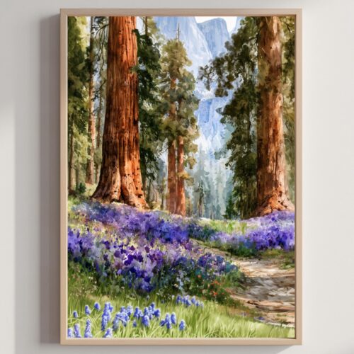 Sequoia National Park Watercolor Print: USA Travel Art Poster